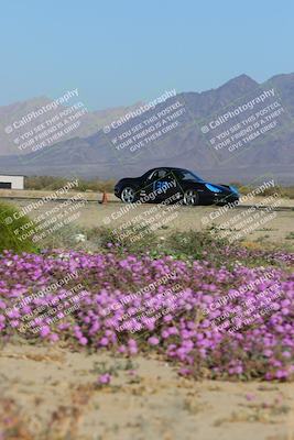 media/Jan-29-2023-PCA San Diego (Sun) [[aa0301ccc2]]/Yellow Group/Session 1 (Turn 15 Bloom)/